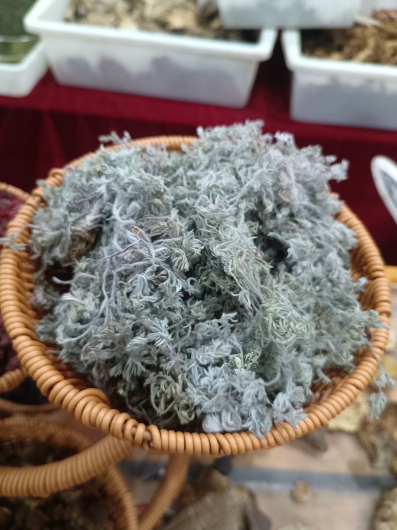 茵陈蒿白蒿苗干货身干无杂精选货