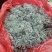 茵陈蒿白蒿苗干货身干无杂精选货