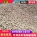 优质洋姜种大量有货产地直发可视频看货欢迎老板咨询
