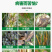 400克/升戊唑醇咪鲜胺果树炭疽黑星疫叶斑正品戊唑咪鲜胺