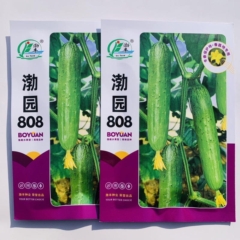 渤园808水果黄瓜种子强雌早熟短棒绿肉清香脆甜节节有瓜
