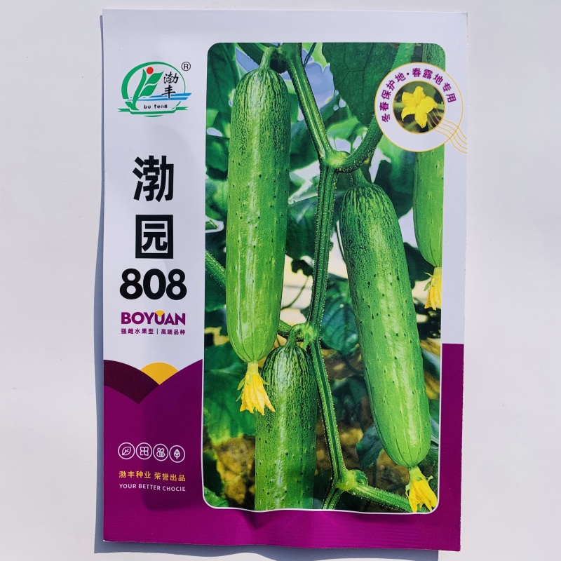 渤园808水果黄瓜种子强雌早熟短棒绿肉清香脆甜节节有瓜