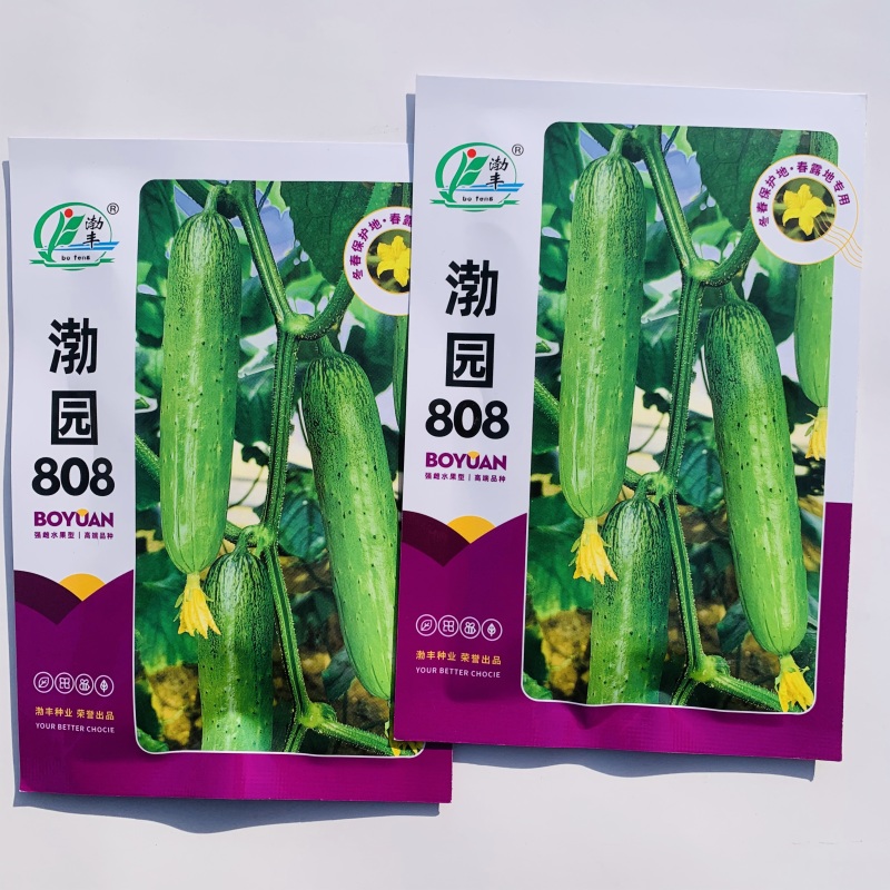 渤园808水果黄瓜种子强雌早熟短棒绿肉清香脆甜节节有瓜
