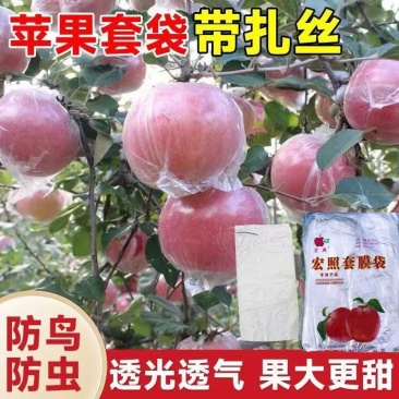 苹果套袋水果专用套膜袋防鸟防虫/山东厂家直发量大价优