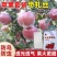苹果套袋水果专用套膜袋防鸟防虫/山东厂家直发量大价优