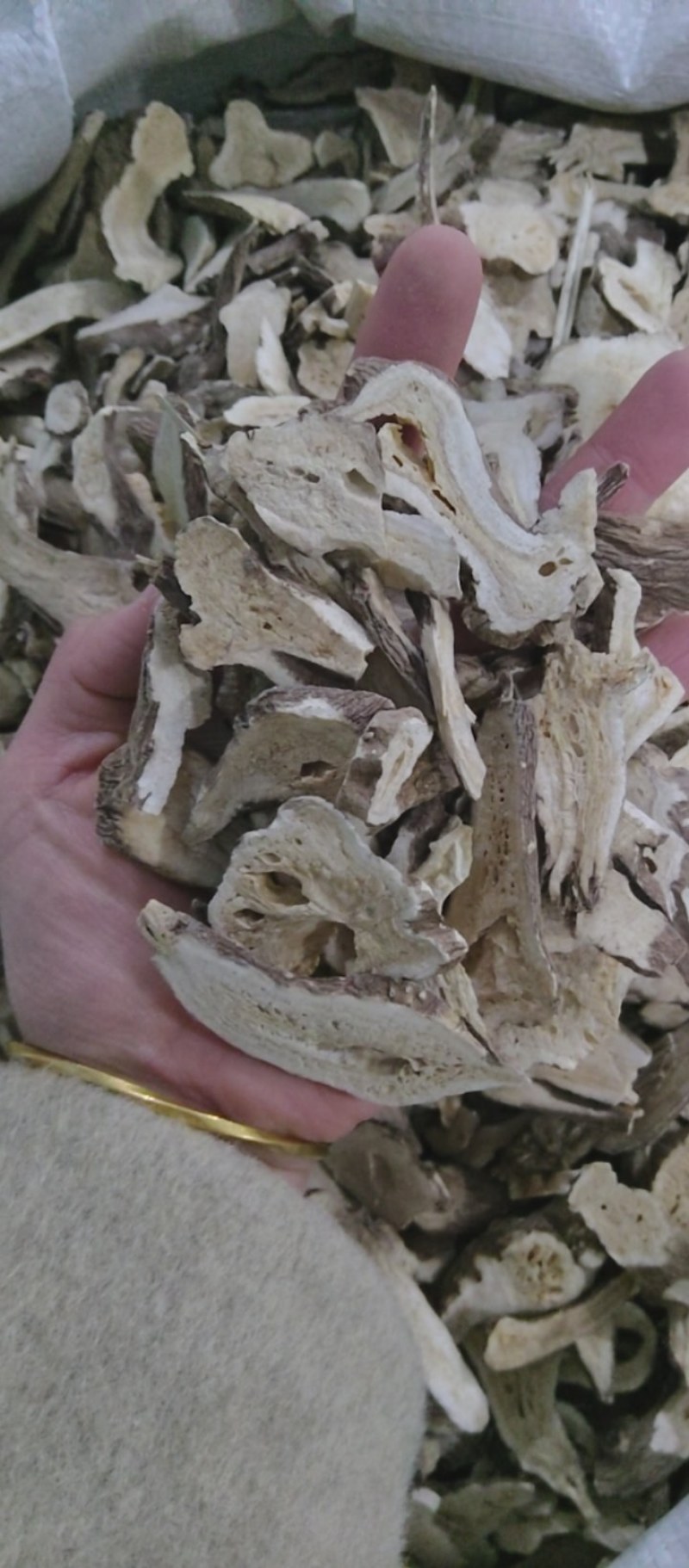白术一年蜂窝好，颜色好看