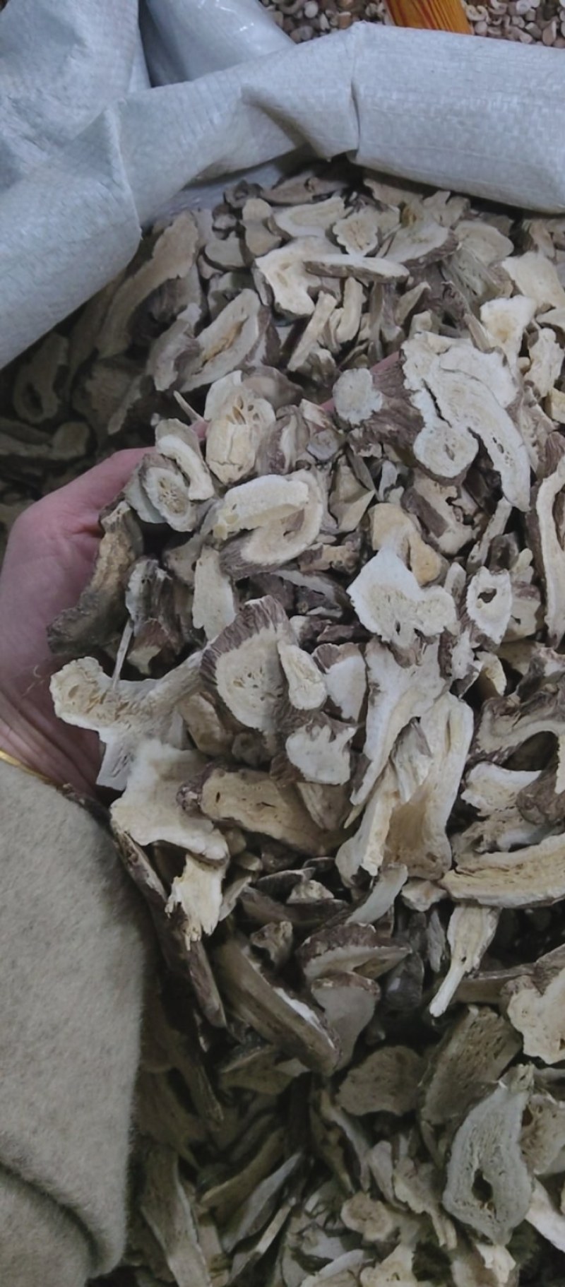白术一年蜂窝好，颜色好看