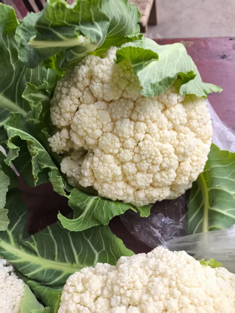有机菜花，花白个头大产地直销，质量保证诚信交易