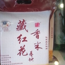 崇明大米产地直供欢迎新老客户来电咨询绿色食品认证