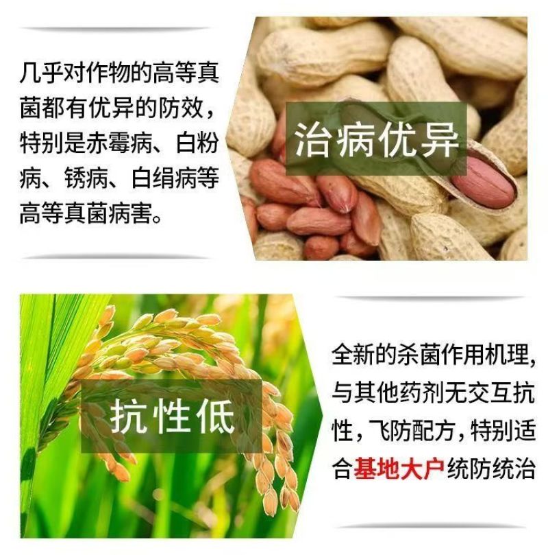 40%丙硫菌唑戊唑醇正牌正品白粉病赤霉病强效