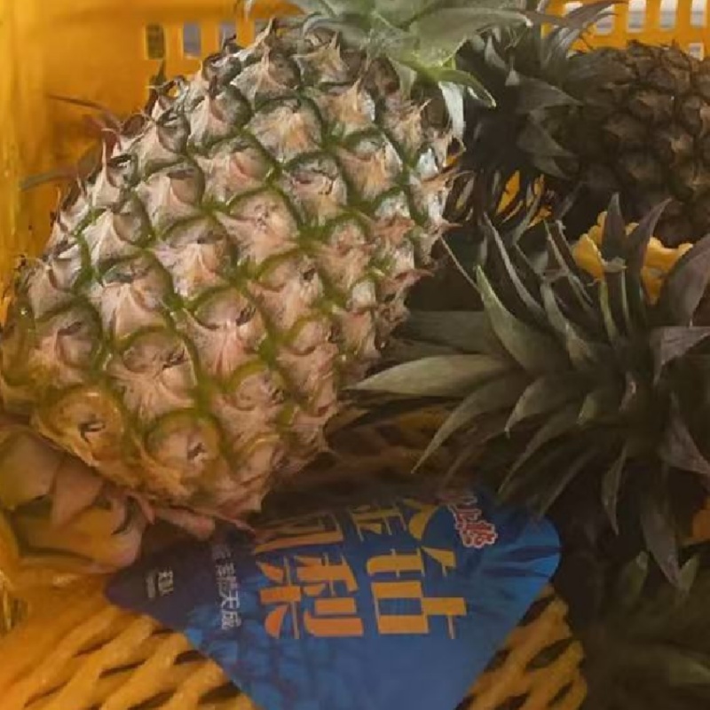 海南天地人金钻凤梨🍍17号精品，统货