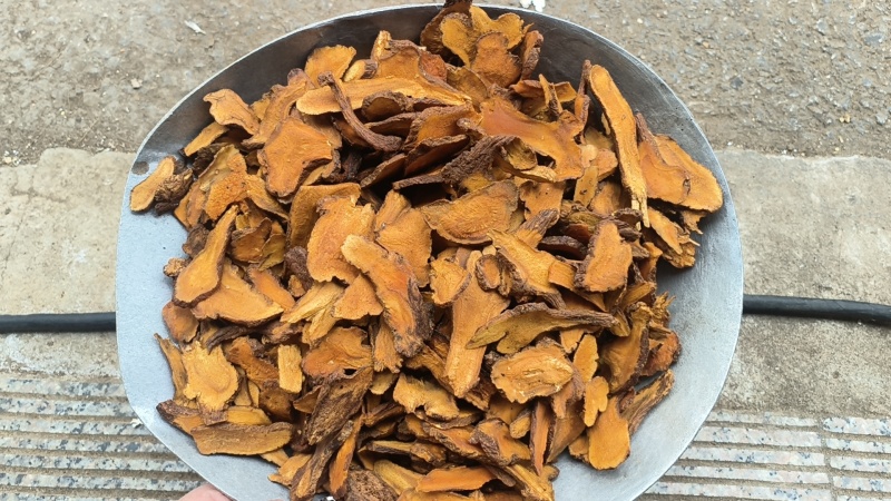 炒白术一年颜色漂亮正品一手货源自产自销