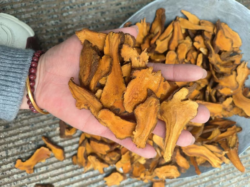 炒白术一年颜色漂亮正品一手货源自产自销