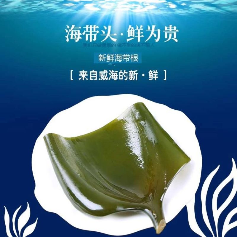 烘干海带头干货厚肉海带片干海带根海带火锅凉拌煲汤淡干
