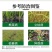 30%甲霜恶霉灵正品水稻育苗农用立枯病杀菌剂甲霜噁霉灵