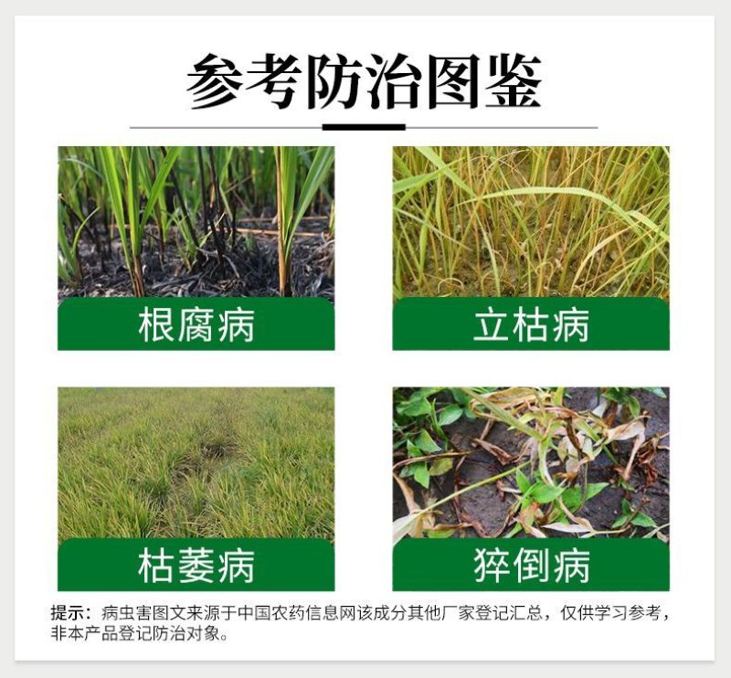 30%甲霜恶霉灵正品水稻育苗农用立枯病杀菌剂甲霜噁霉灵