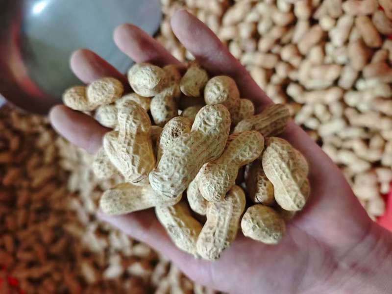 地锅花生**电商支持一件代发