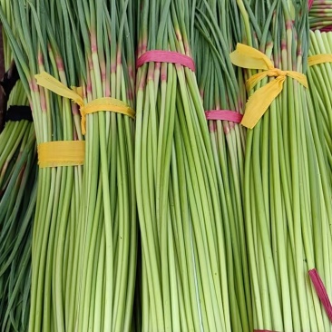 红帽蒜苔大量供应电商市场商超有需要的老板联系我