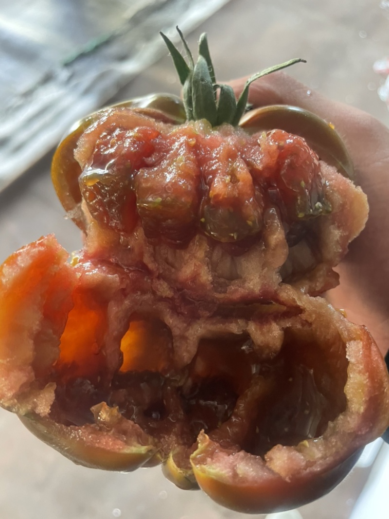 健身轻食专用，好看又好吃