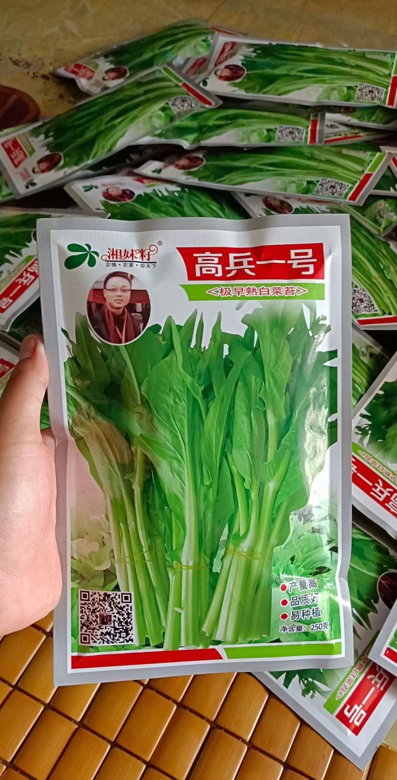 白菜苔种子