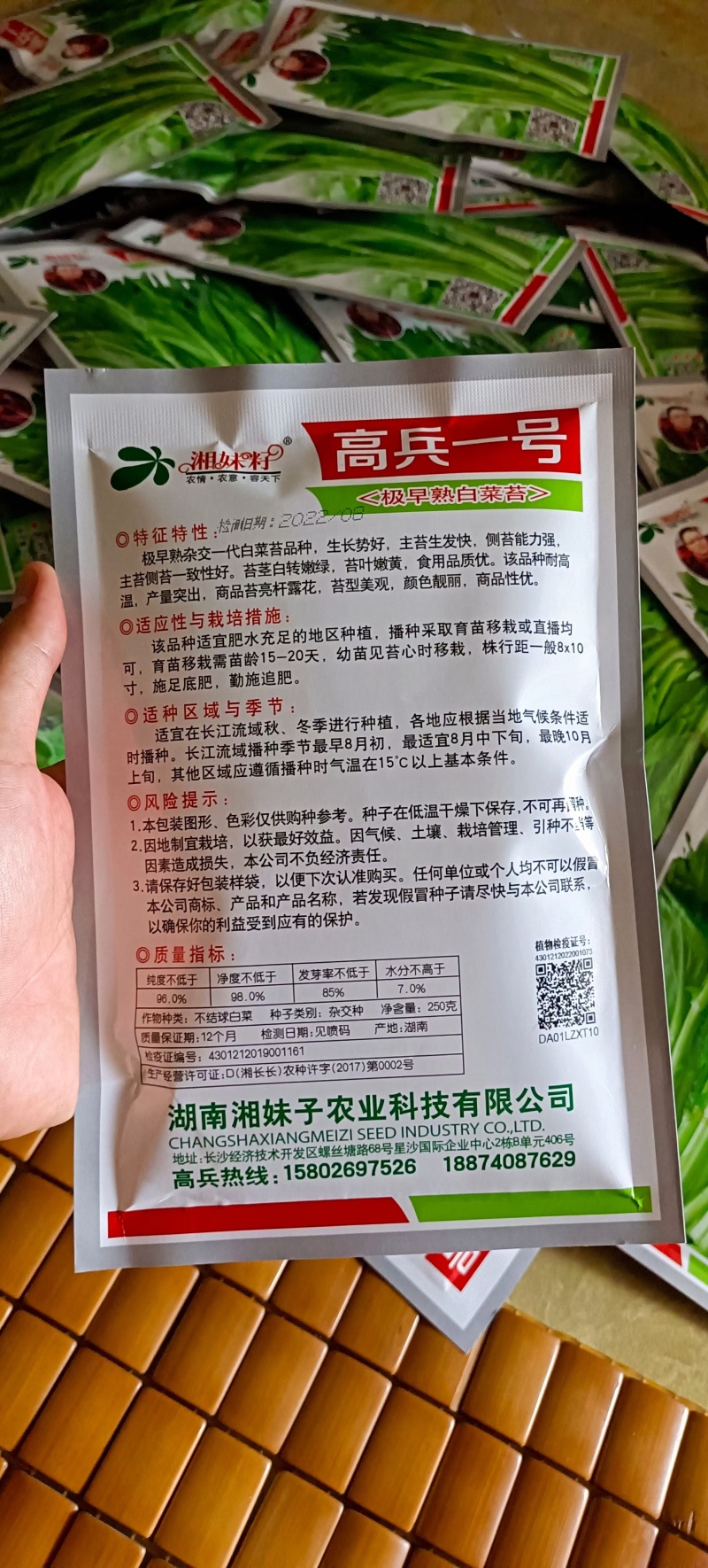 白菜苔种子