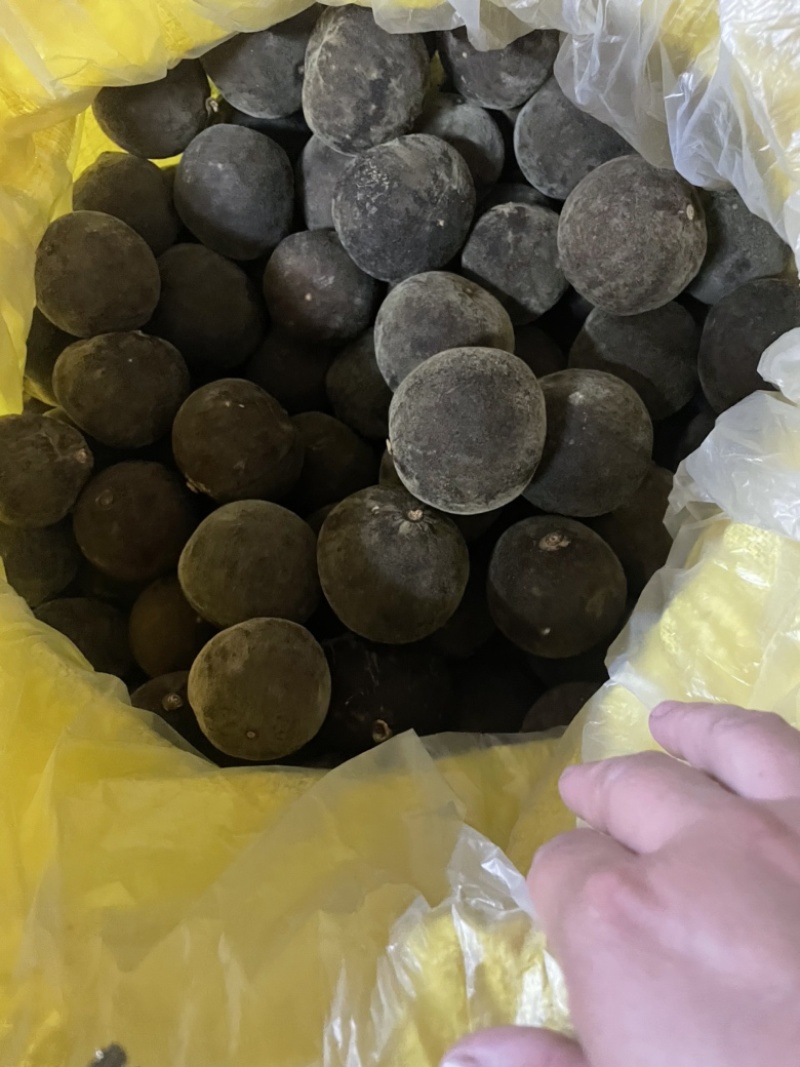 化橘红源头产地价格实惠，正宗化州橘红大量有货欢迎下单