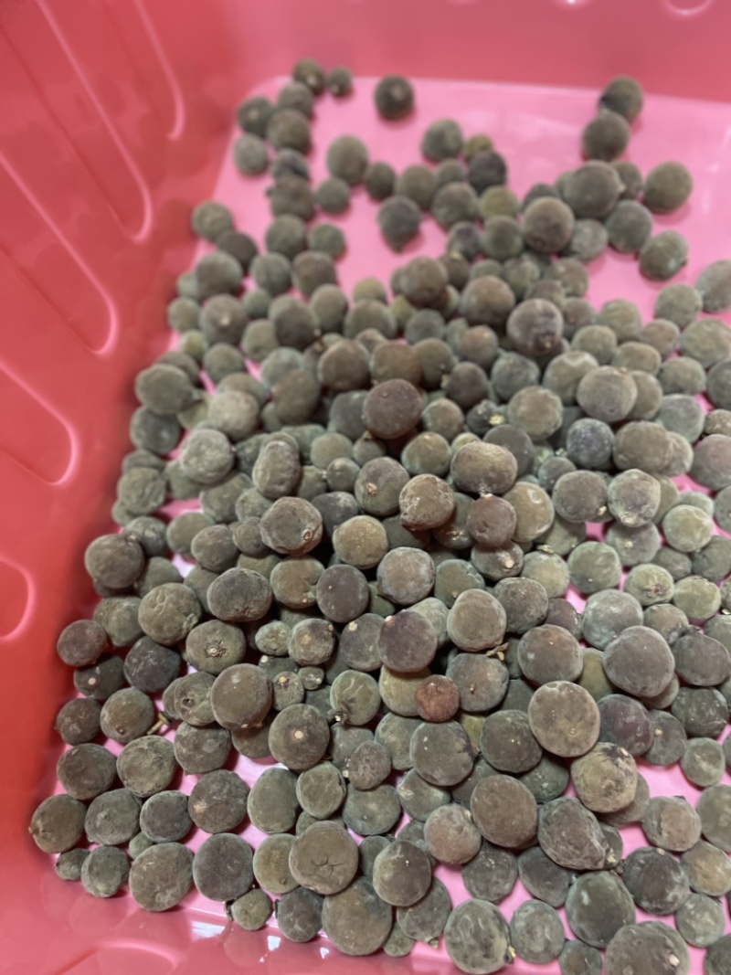 化橘红源头产地价格实惠，正宗化州橘红大量有货欢迎下单