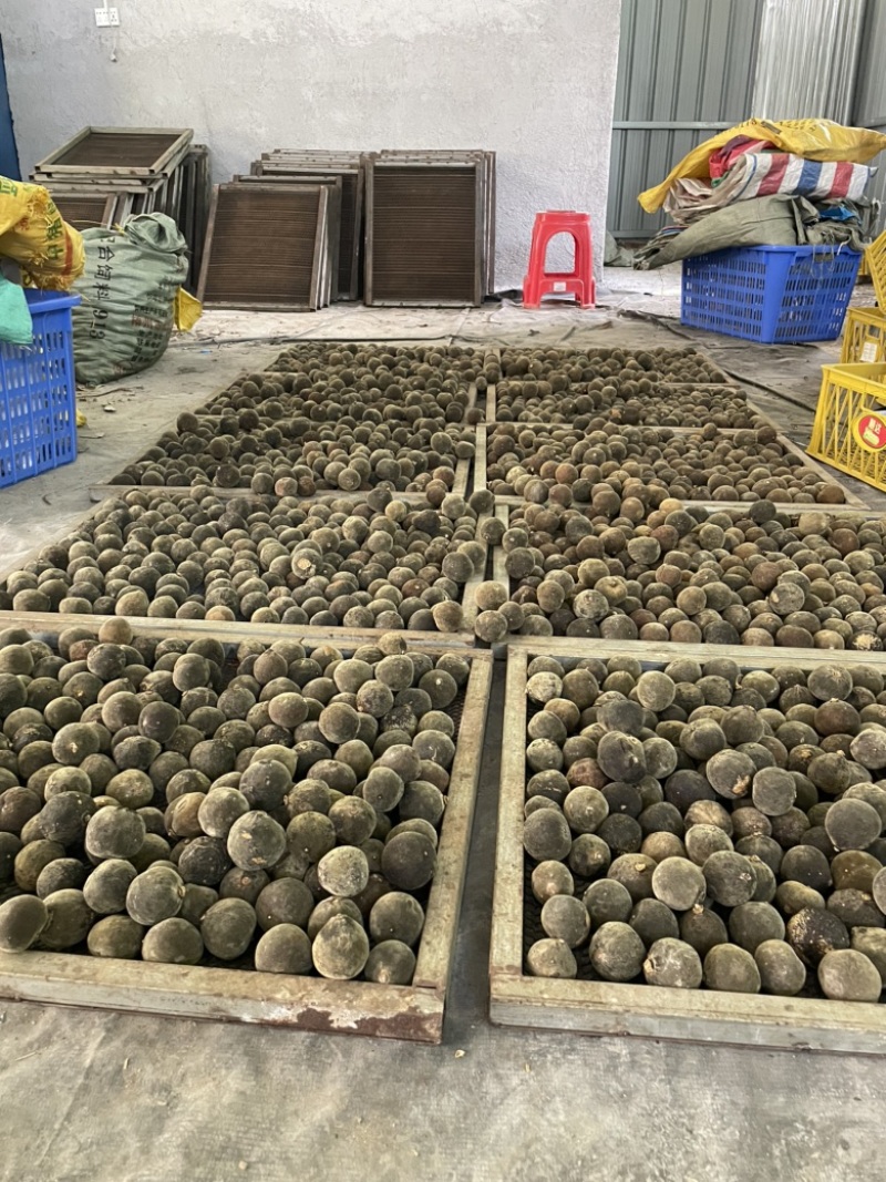 化橘红源头产地价格实惠，正宗化州橘红大量有货欢迎下单