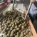 化橘红源头产地价格实惠，正宗化州橘红大量有货欢迎下单
