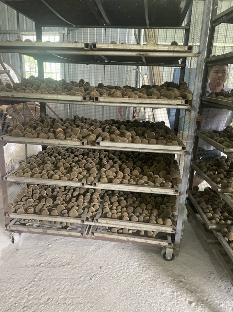 化橘红源头产地价格实惠，正宗化州橘红大量有货欢迎下单