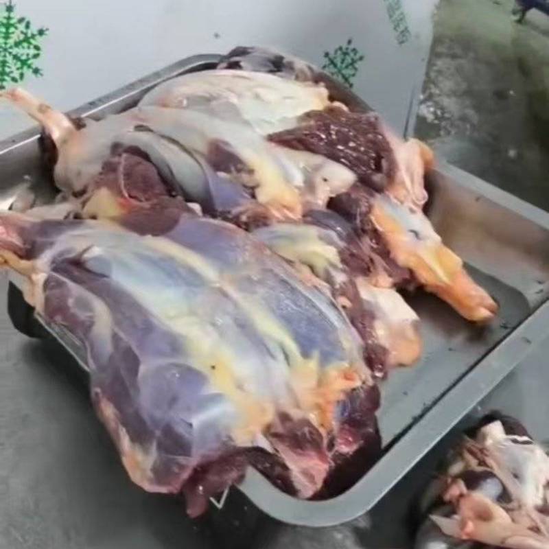 内蒙古屠宰场牛腱子批发
