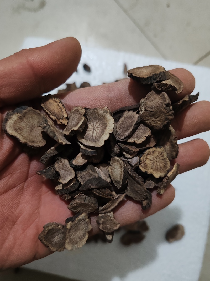 赤芍川赤芍野生高海拔高年份高含量赤芍药味浓郁