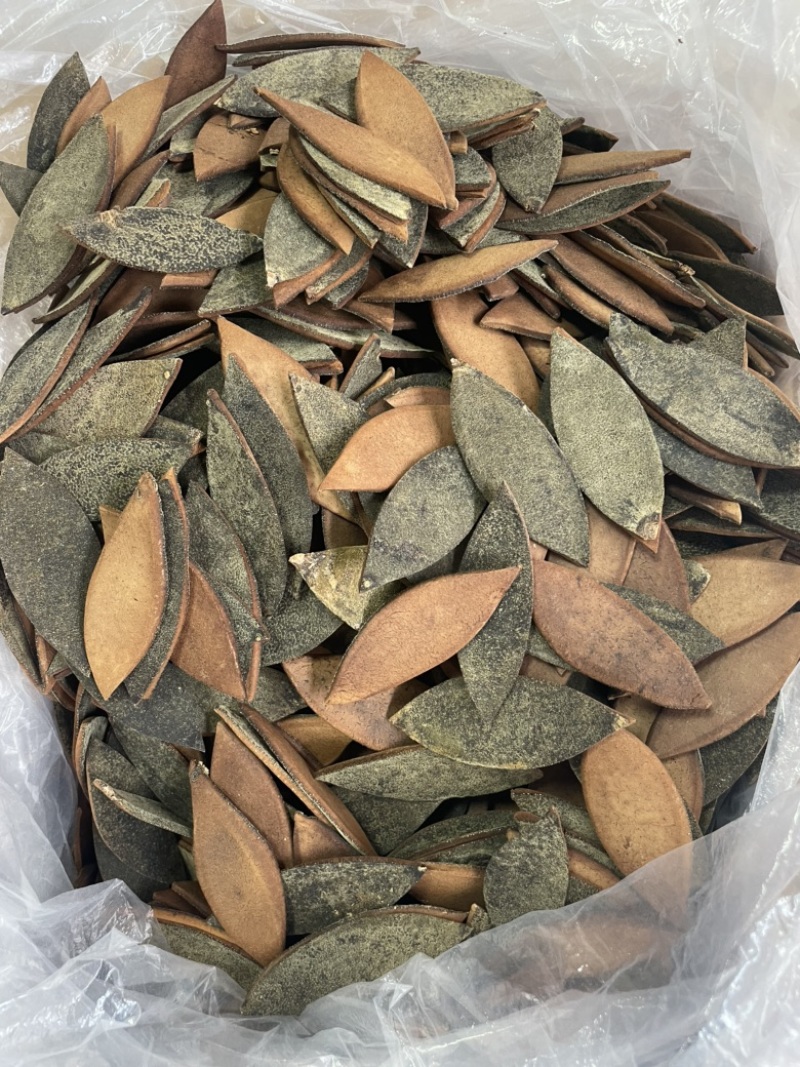 化橘红单爪片，老师傅手工靓，好卖，单爪皮效果好批发兼零售