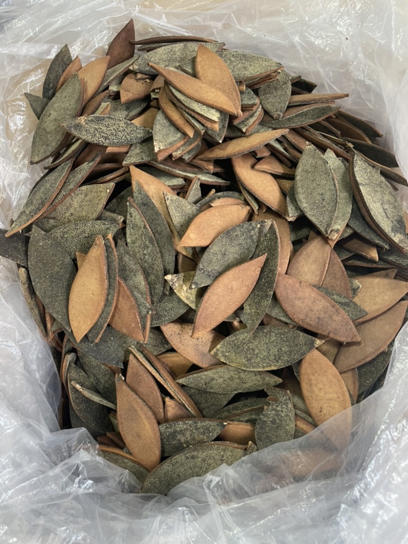 化橘红单爪片，老师傅手工靓，好卖，单爪皮效果好批发兼零售