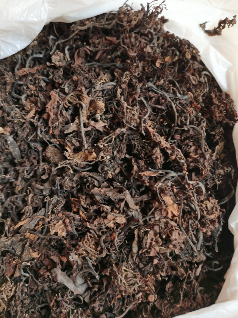番泻叶，千里光，海燥三个品种