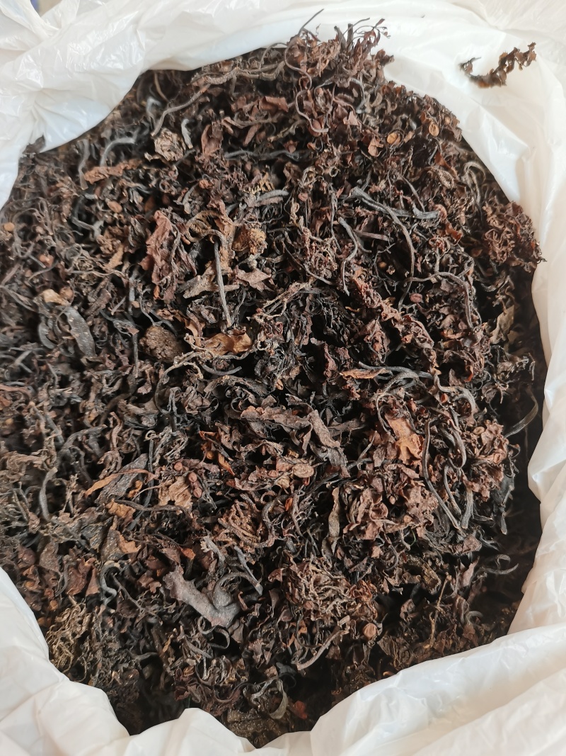 番泻叶，千里光，海燥三个品种