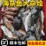 南海小网杂鱼，三去真空，无冰衣，