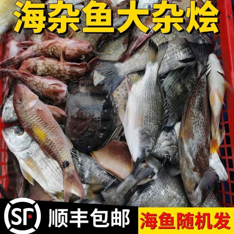 南海小网杂鱼，三去真空，无冰衣，
