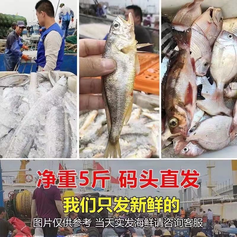 南海小网杂鱼，三去真空，无冰衣，