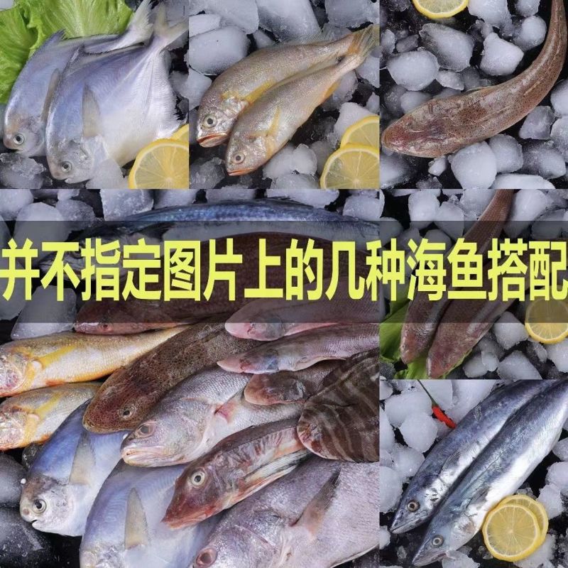 南海小网杂鱼，三去真空，无冰衣，