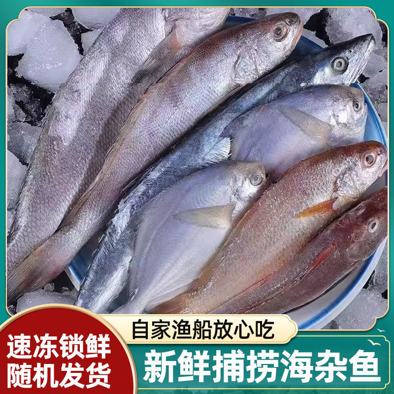 南海小网杂鱼，三去真空，无冰衣，