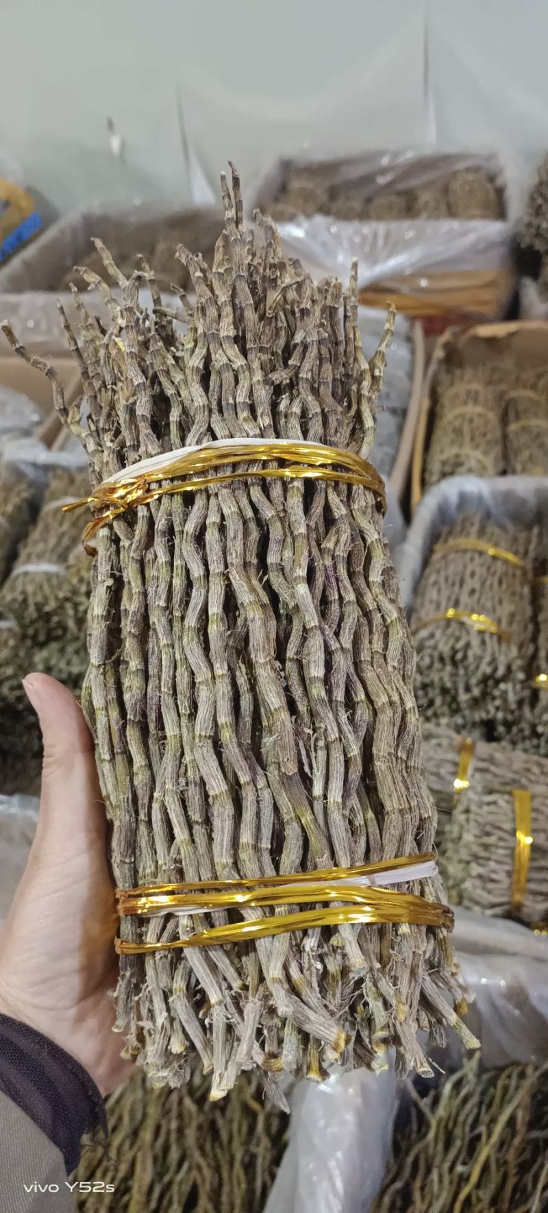 石斛铁皮石斛紫皮石斛各种名贵药材源于大自然的馈赠一手货源