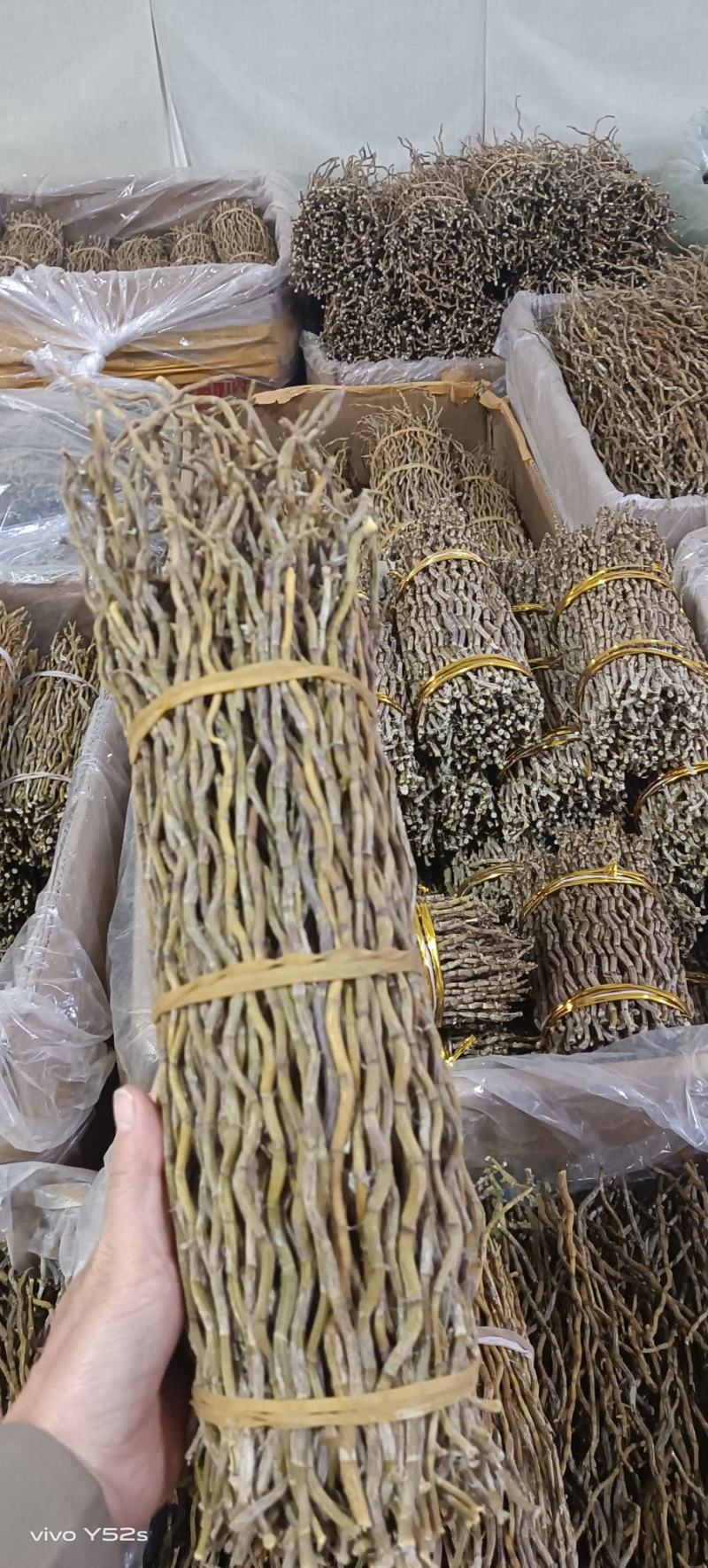 石斛铁皮石斛紫皮石斛各种名贵药材源于大自然的馈赠一手货源