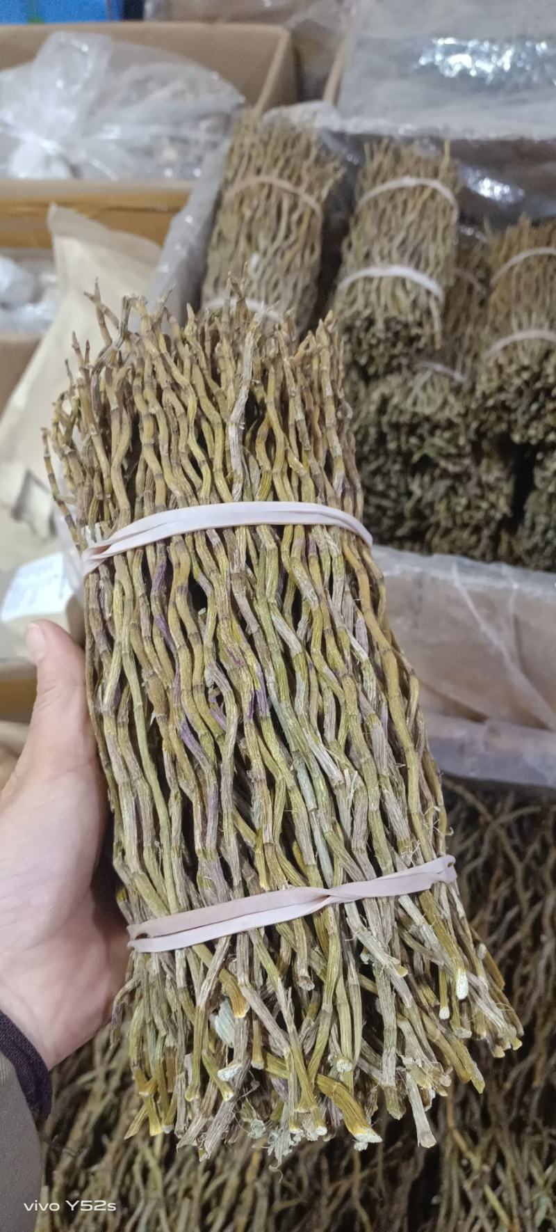 石斛铁皮石斛紫皮石斛各种名贵药材源于大自然的馈赠一手货源