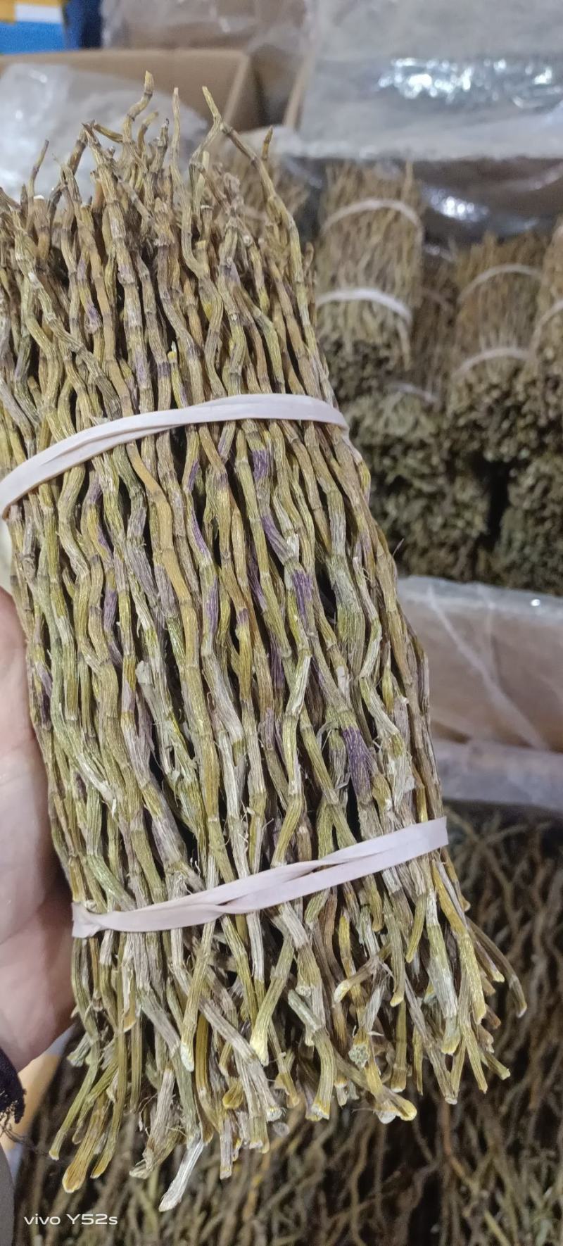 石斛铁皮石斛紫皮石斛各种名贵药材源于大自然的馈赠一手货源