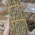 石斛铁皮石斛紫皮石斛各种名贵药材源于大自然的馈赠一手货源