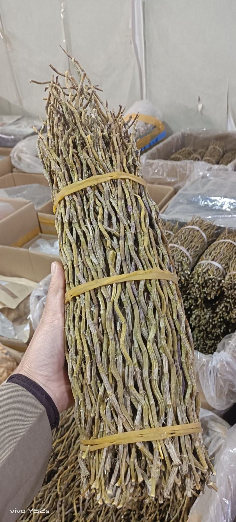 石斛铁皮石斛紫皮石斛各种名贵药材源于大自然的馈赠一手货源
