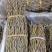 石斛铁皮石斛紫皮石斛各种名贵药材源于大自然的馈赠一手货源