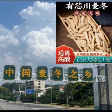 四川省绵阳市三台县涪城麦冬中国麦冬之乡