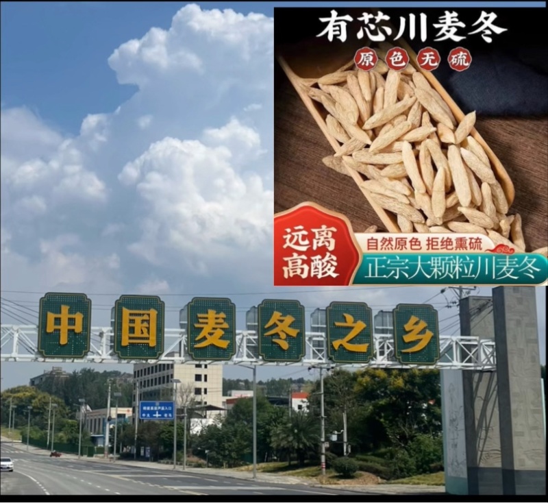 四川省绵阳市三台县涪城麦冬中国麦冬之乡